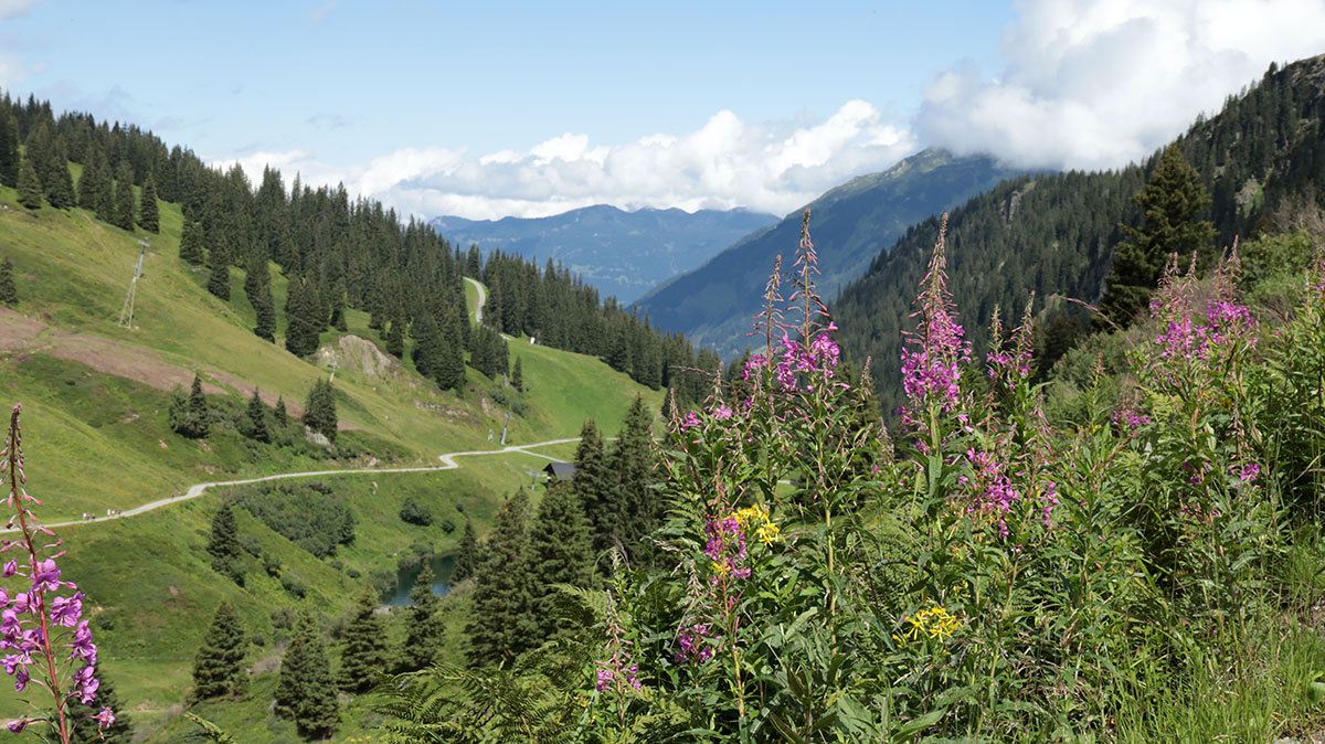 Novatal Montafon